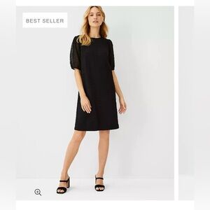 Ann Taylor Eyelet Shift Dress